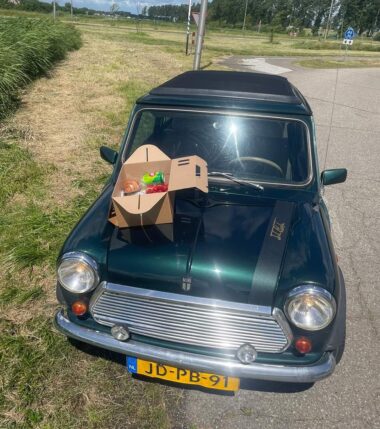 Mini fahren